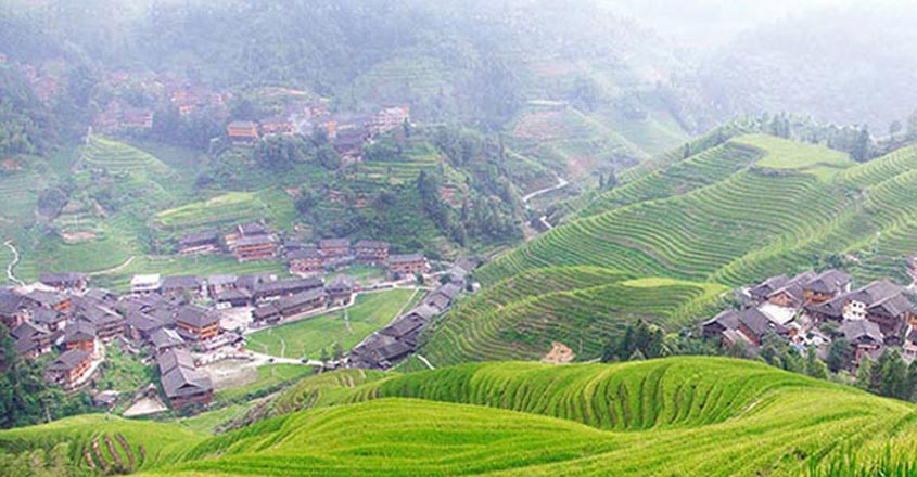 LONGJI,-CHINA5 LONGJI,-CHINA5