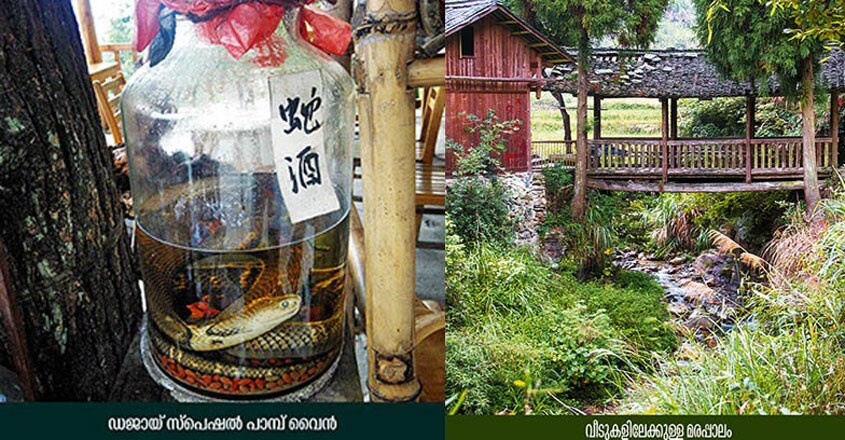 Dazhai-Village4 Dazhai-Village4