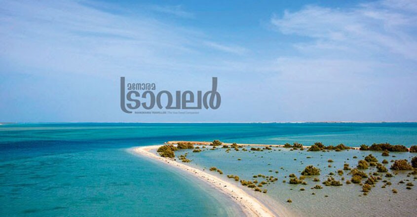 Farasan-Island--2 Farasan-Island--2