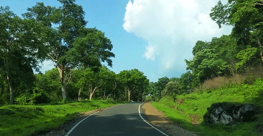 road-trip-Masinagudi-OOty-road road-trip-Masinagudi-OOty-road