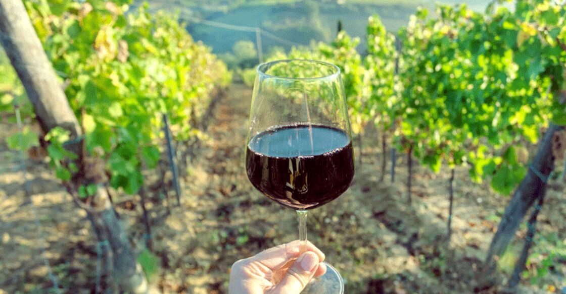 wineyard-gif wineyard-gif