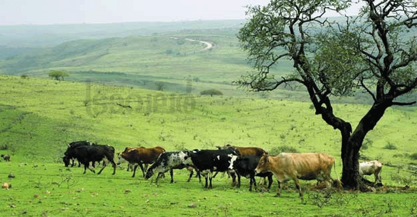 salalah-trip salalah-trip