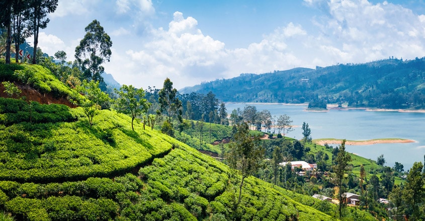 srilanka-travel1 srilanka-travel1