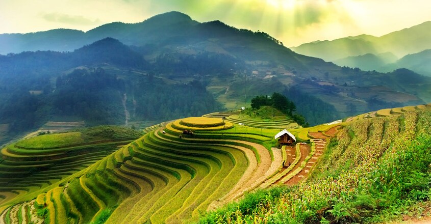 Vietnam Vietnam