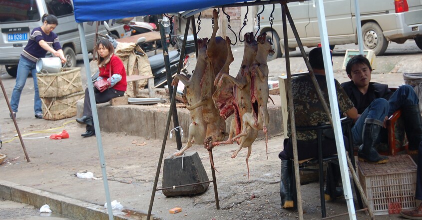 market-in-china market-in-china