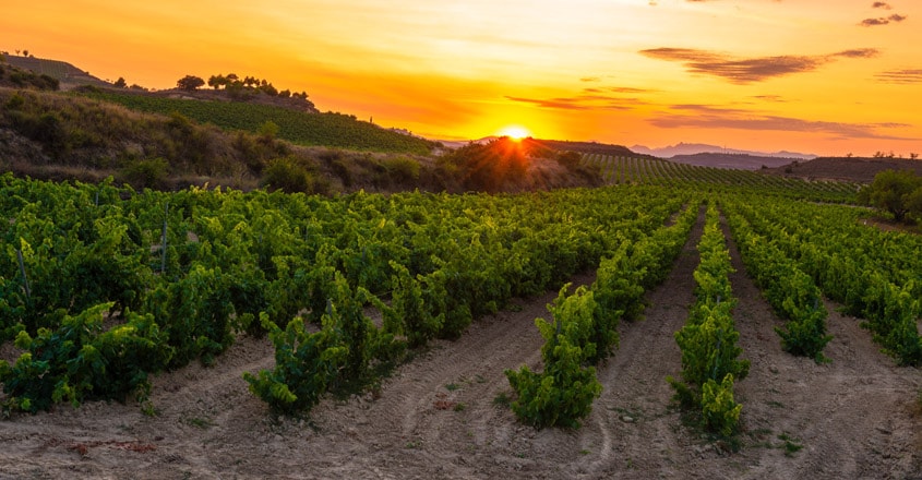 2La-Rioja,-Spain 2La-Rioja,-Spain