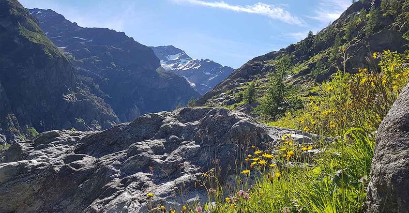alps alps