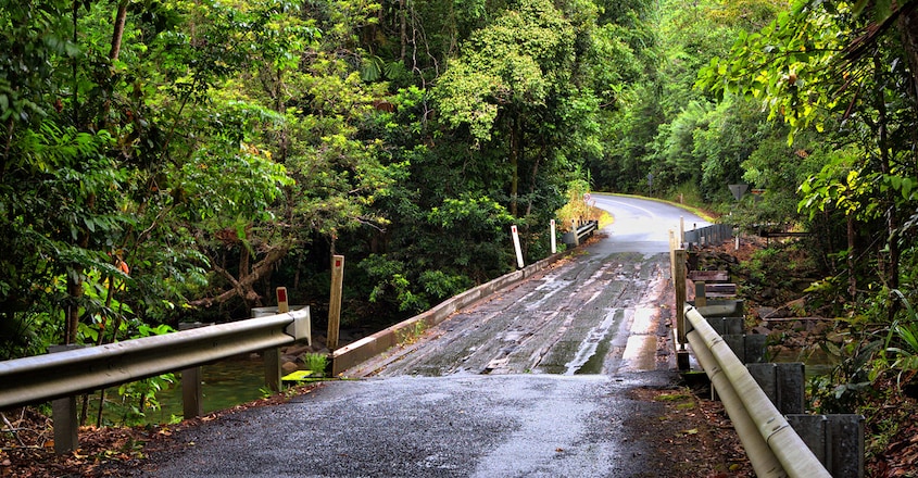 Daintree-National-Park Daintree-National-Park