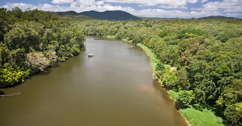 Daintree-Rainfores-river Daintree-Rainfores-river