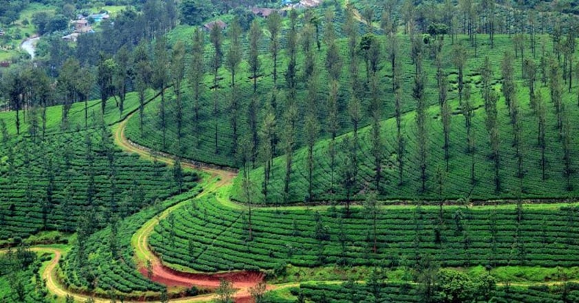 wayanad-wagamon-2 wayanad-wagamon-2