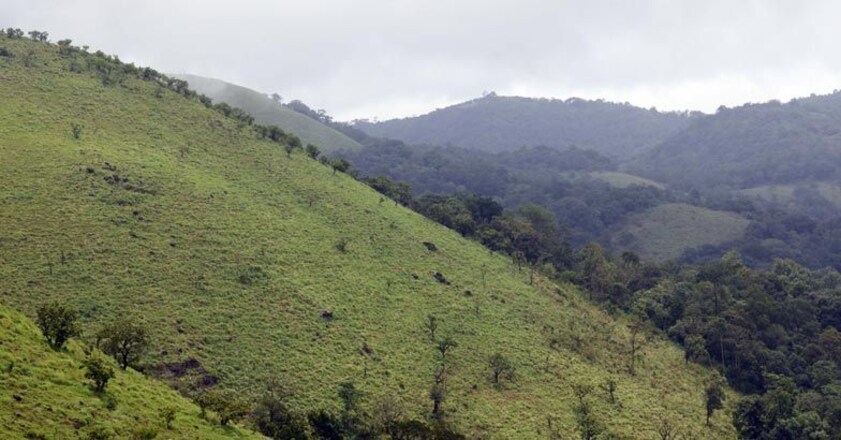 wayanad-wagamon-6 wayanad-wagamon-6