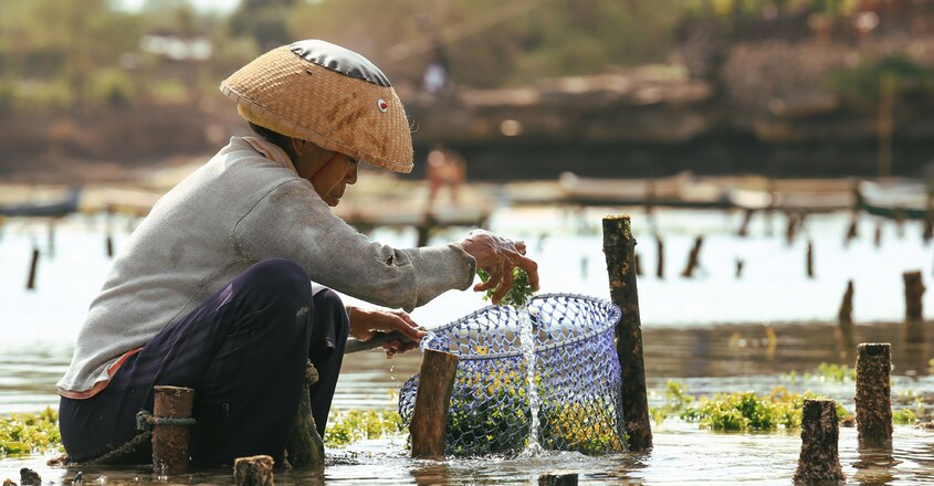 Seaweed-tides-over-Bali Seaweed-tides-over-Bali