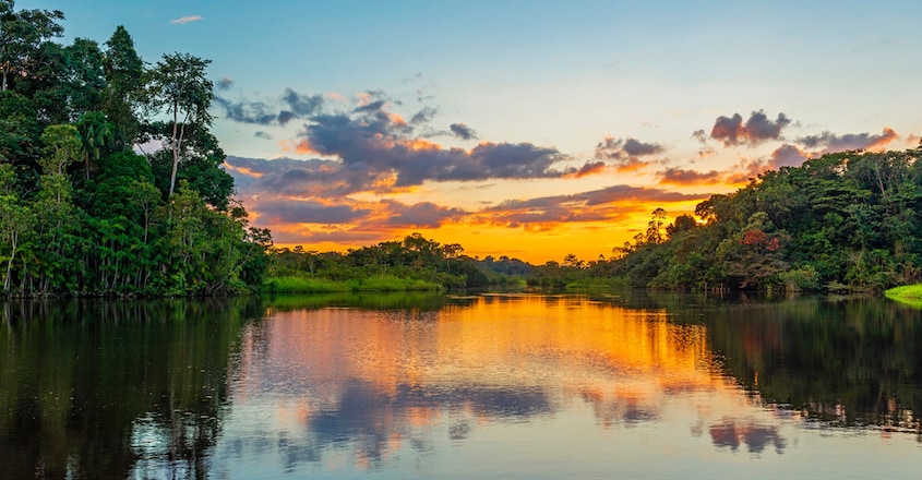 Suriname Suriname