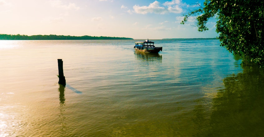 Suriname1 Suriname1