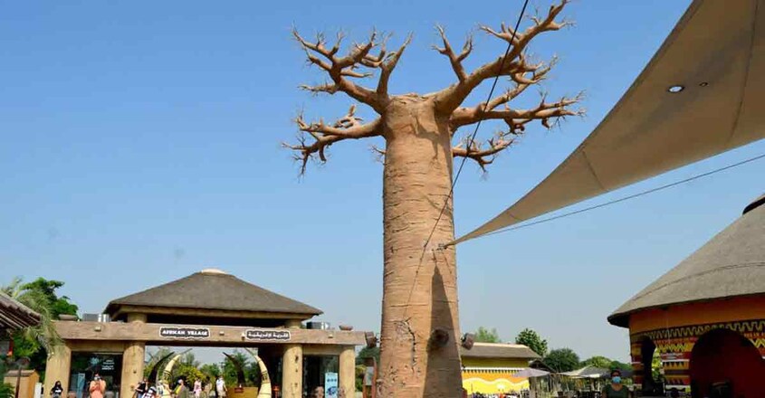 Dubai-Safari-Park17 Dubai-Safari-Park17