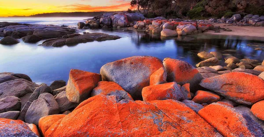 Bay-of-Fires Bay-of-Fires
