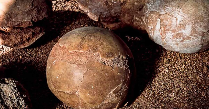 Flaming-Cliffs--Fossilized-Dinosaur-Eggs. Flaming-Cliffs--Fossilized-Dinosaur-Eggs.