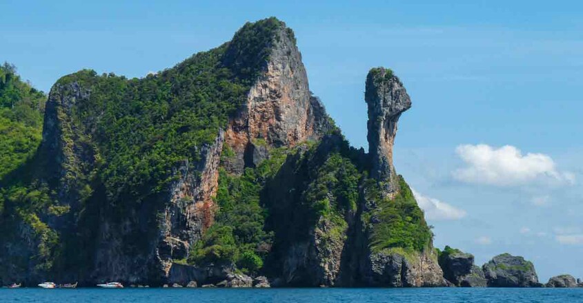Chicken-Island1 Chicken-Island1