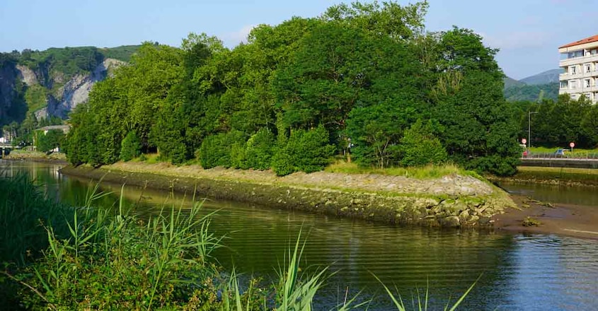 pheasant-island1 pheasant-island1