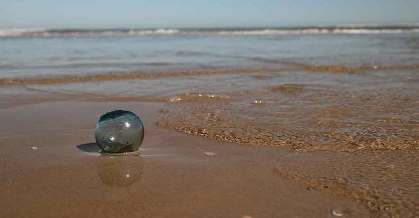 glass-fishing-floats glass-fishing-floats