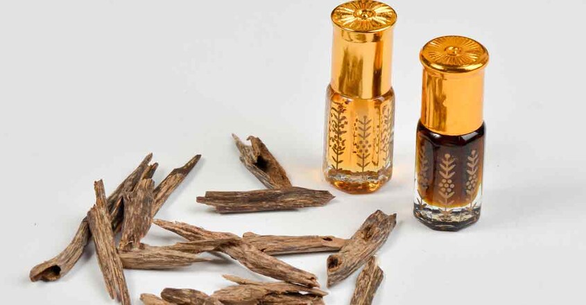 Agarwood-Scent-3 Agarwood-Scent-3