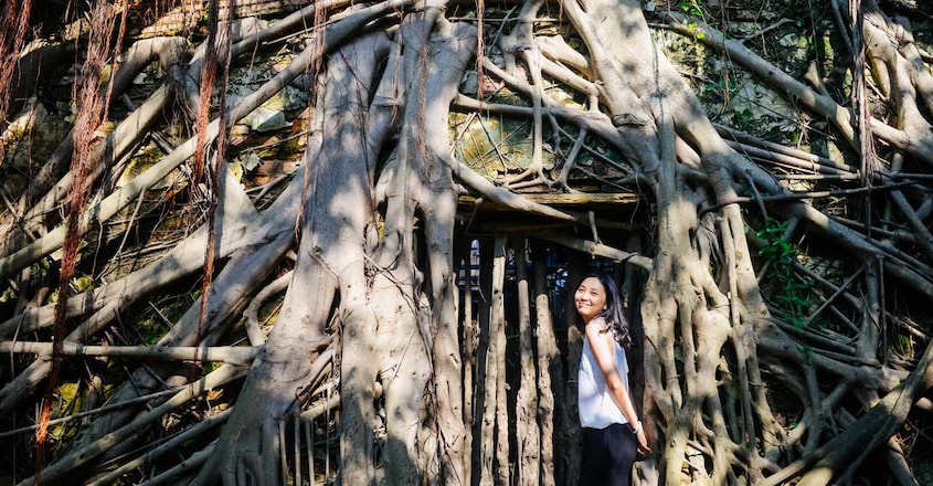anping-tree-house1 anping-tree-house1