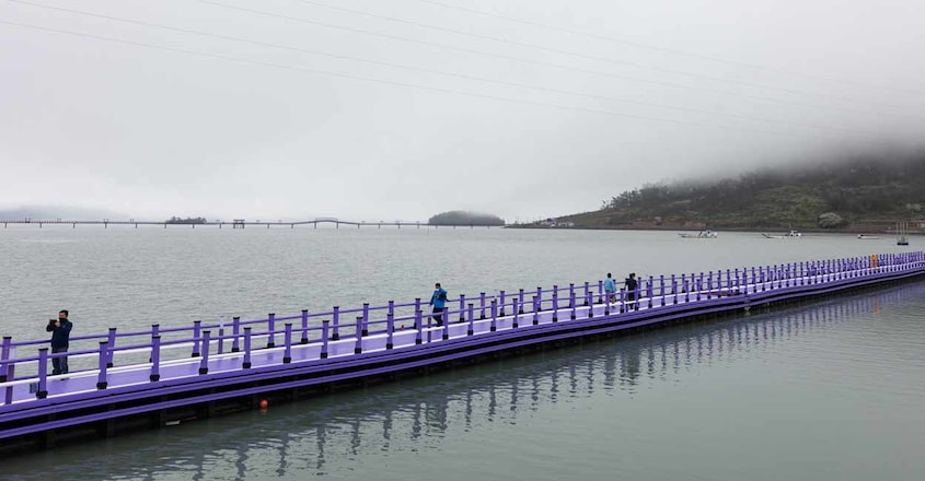 purple-island purple-island