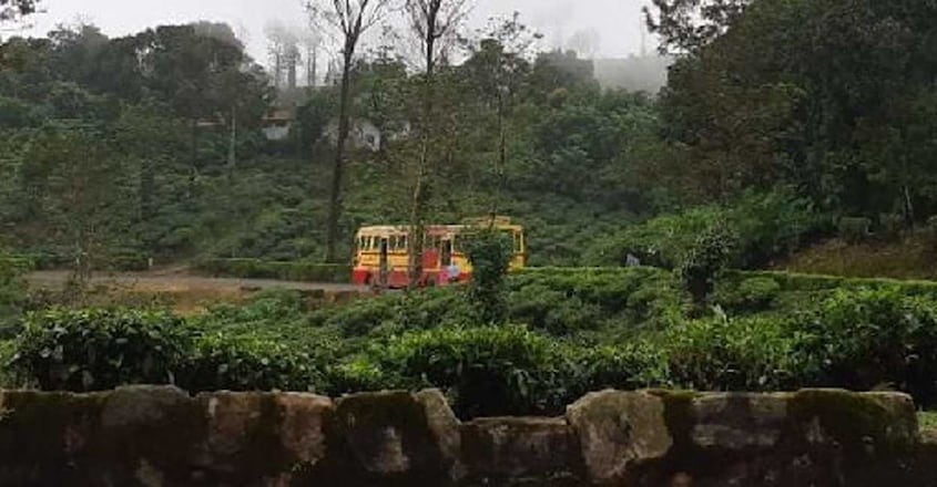 malakapara1 malakapara1