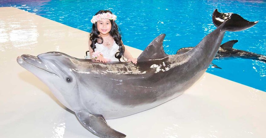 Dubai-Dolphinarium2