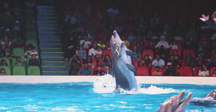 Dubai-Dolphinarium22 Dubai-Dolphinarium22