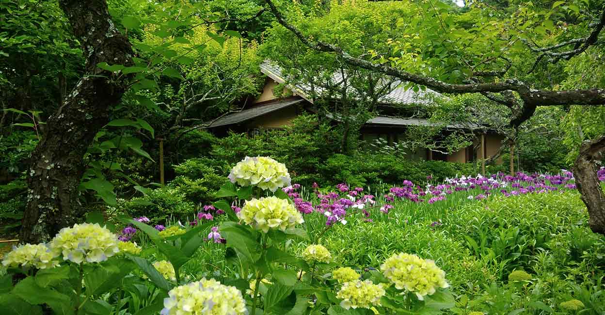 Tokeiji Temple: The Unique Divorce Temple of Japan