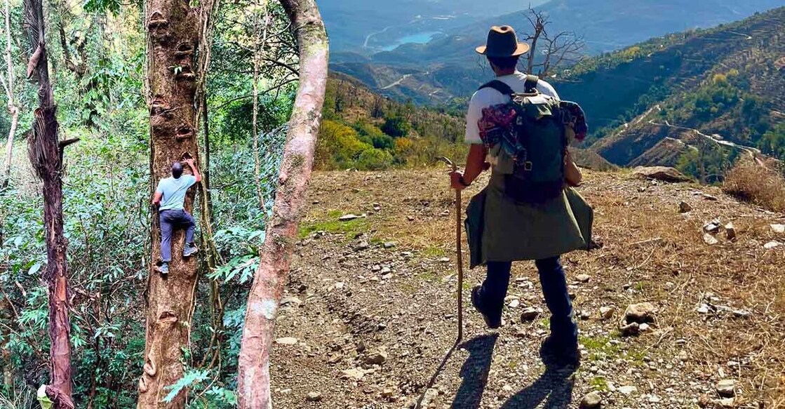 Image Credit: pranavmohanlal/instagram

