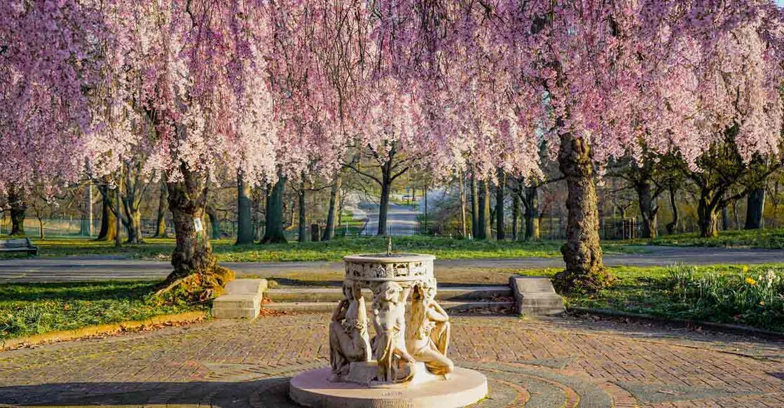 Spring-Blooms-Fairmount-Park-Horticulture-Center-photo-by-K Spring Blooms, Fairmount Park Horticulture Center. Photo: K