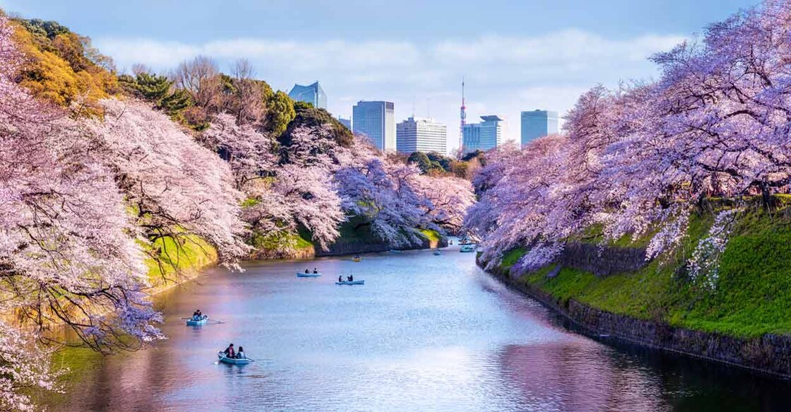 Tokyo, Japan. Image Credit: Eloi_Omella/istockphoto