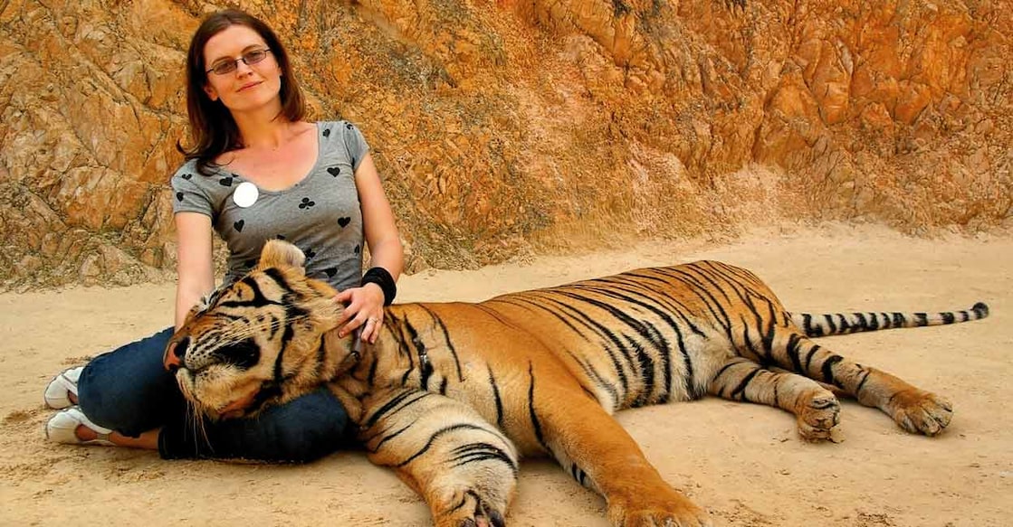 phuket tiger kingdom Representative Image Credit:By paintings/shutterstock