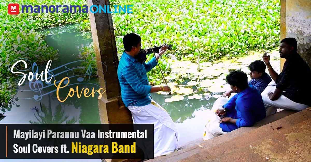 Mayilayi parannu vaa instrumental soul covers ft. Niagara band