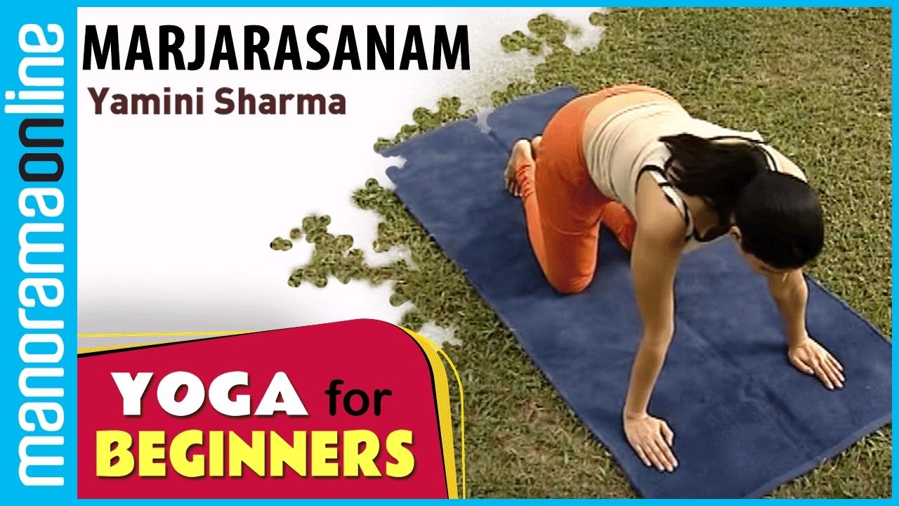 marjarasanam-yoga-for-beginners-yoga-health-care-yoga-videos-manorama-online-news-videos