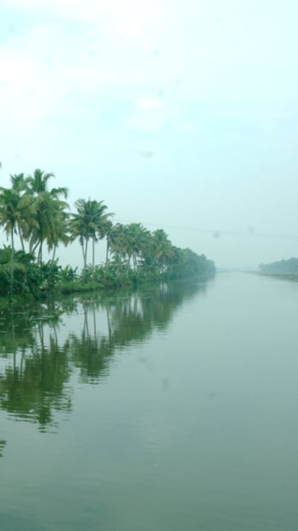 മത്സ്യസമ്പത്ത് കുറയുന്നു; വേമ്പനാട് കായൽ ശുദ്ധജല തണ്ണീർത്തടമാകുമോ?