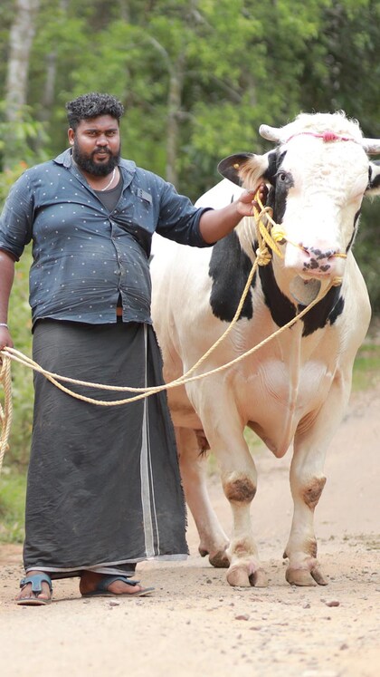 പൊന്നുംവിലയുള്ള സുൽത്താൻ