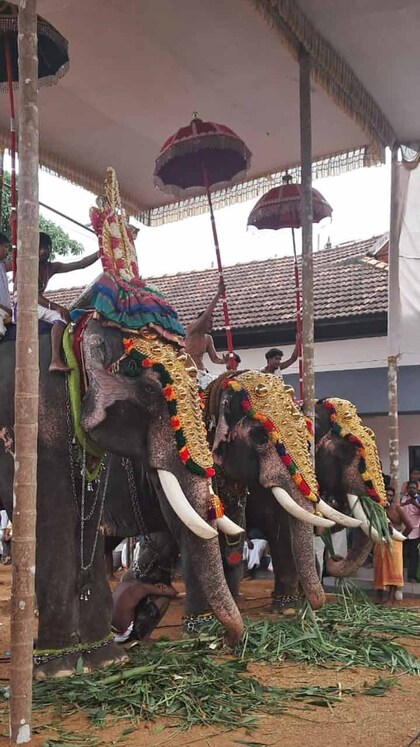 തിരുനക്കരയിലെ ആനചന്തം