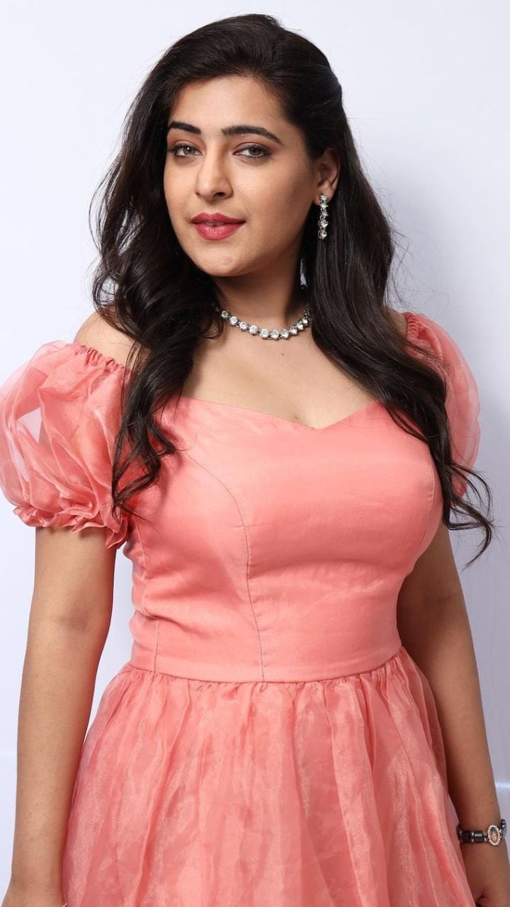 Shiney Dixit Top 12 Web Series