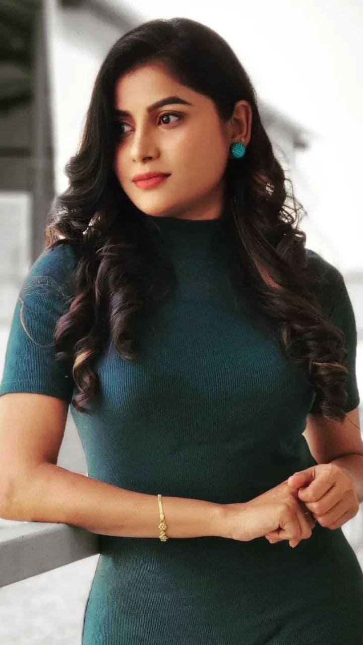  മിനിസ്ക്രീൻ പ്രേക്ഷകരുടെ പ്രിയതാരമാണ്
