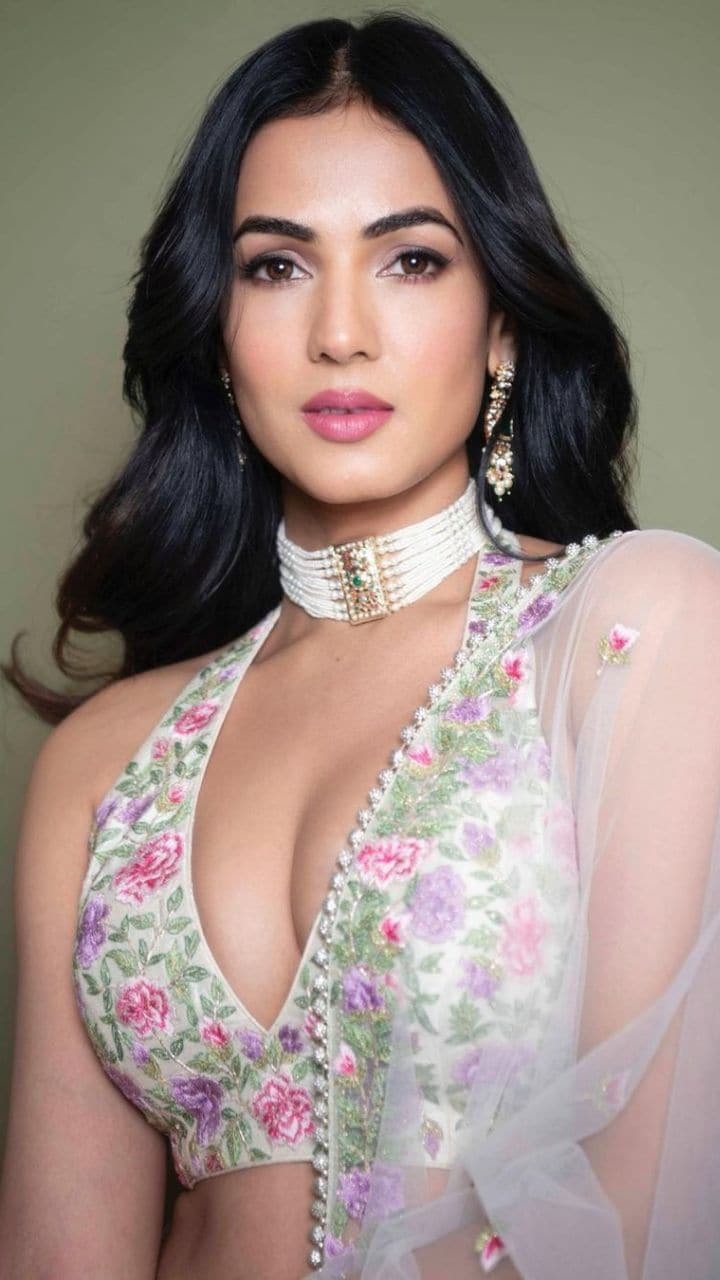 Photos: Jannat Girl Sonal Chauhan shared her beautiful pics in ethnic wear,  See here...
