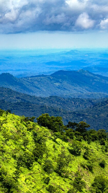 സൂപ്പർ കാഴ്ചകളുമായി വാഗമൺ