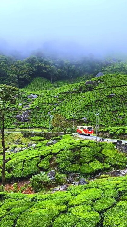 മൂന്നാര്‍ കാണാം, 300 രൂപയ്ക്ക്