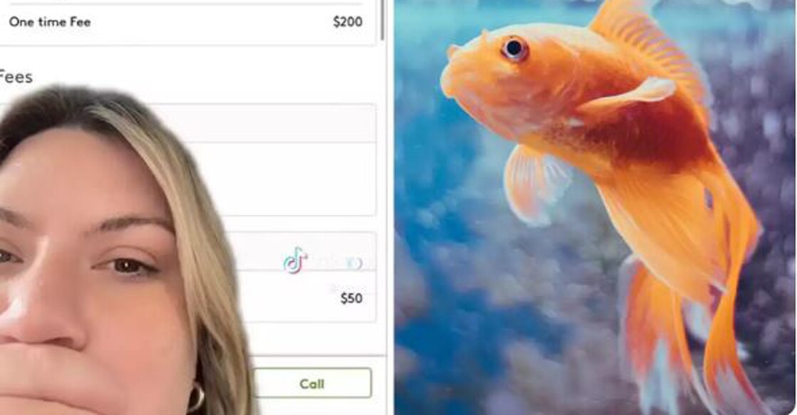 Woman-fish Screengrab From tick tak video
